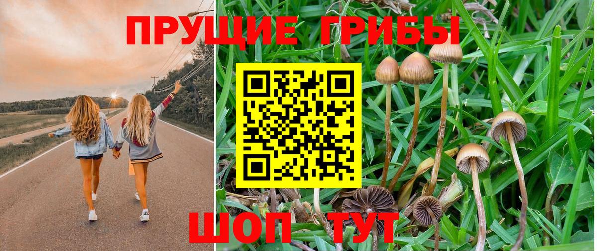 Псилоцибиновые грибы Magic Shrooms Нижний Новгород
